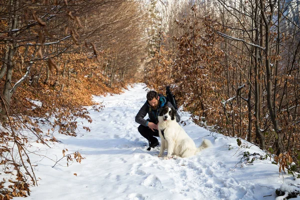 Nsan Beyaz Köpek Kış Dağlarında Yürüyorlar — Stok fotoğraf