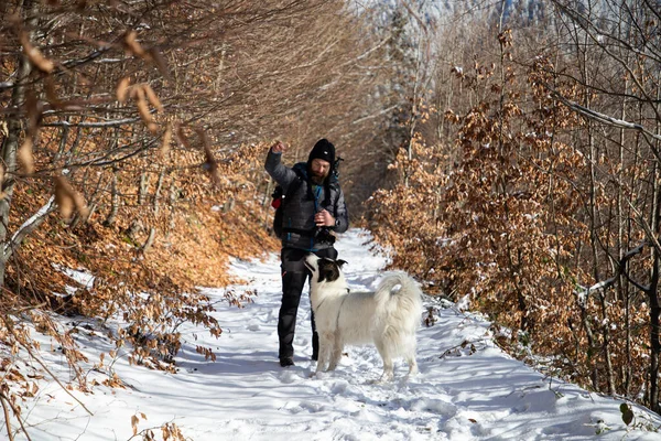 Człowiek Biały Pies Trekking Górach Zimowych — Zdjęcie stockowe