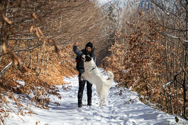 Hombre Perro Blanco Trekking Las Montañas Invierno —  Fotos de Stock