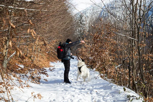 Man Witte Hond Trekking Winter Bergen — Stockfoto