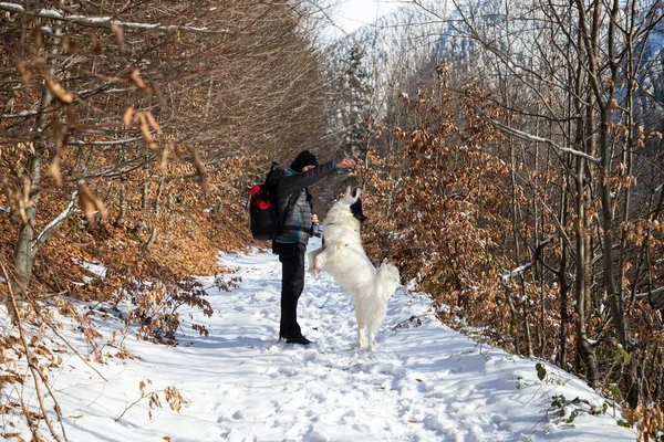 Άνθρωπος Και Λευκό Σκυλί Πεζοπορία Στο Χειμώνα Βουνά — Φωτογραφία Αρχείου