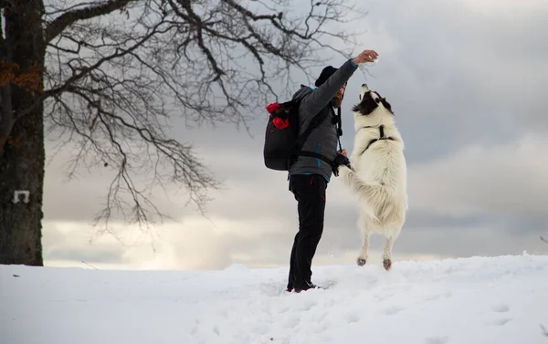 Hombre Perro Blanco Trekking Las Montañas Invierno —  Fotos de Stock