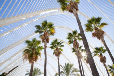 VALENCIA , SPAIN - DECEMBER 6, 2021: The city of the Arts and Sciences, Ciudad de las Artes y las Ciencias on a sunny day in Valencia, Spain.