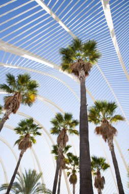 VALENCIA , SPAIN - DECEMBER 6, 2021: The city of the Arts and Sciences, Ciudad de las Artes y las Ciencias on a sunny day in Valencia, Spain.
