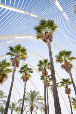 VALENCIA , SPAIN - DECEMBER 6, 2021: The city of the Arts and Sciences, Ciudad de las Artes y las Ciencias on a sunny day in Valencia, Spain.