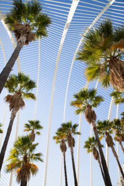 VALENCIA , SPAIN - DECEMBER 6, 2021: The city of the Arts and Sciences, Ciudad de las Artes y las Ciencias on a sunny day in Valencia, Spain.