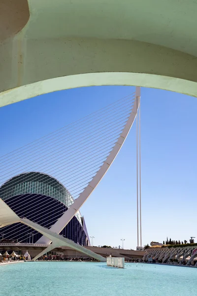 Valencia Spain December 2021 City Arts Sciences Ciudad Las Artes — стоковое фото