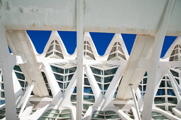 Valencia Spain December 2021 City Arts Sciences Ciudad Las Artes — Stock Photo, Image