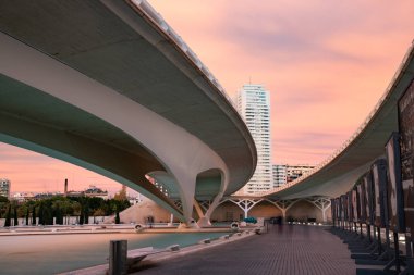 VALENCIA , SPAIN - DECEMBER 6, 2021: The city of the Arts and Sciences, Ciudad de las Artes y las Ciencias at sunset in Valencia, Spain.