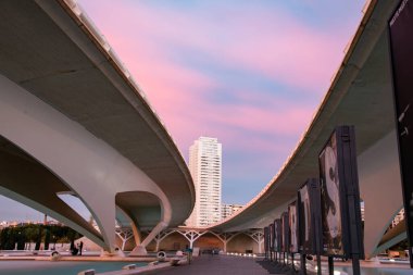 VALENCIA , SPAIN - DECEMBER 6, 2021: The city of the Arts and Sciences, Ciudad de las Artes y las Ciencias at sunset in Valencia, Spain.