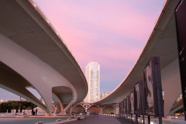 VALENCIA , SPAIN - DECEMBER 6, 2021: The city of the Arts and Sciences, Ciudad de las Artes y las Ciencias at sunset in Valencia, Spain.