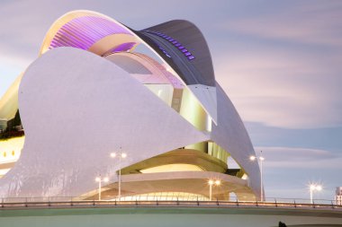 VALENCIA , SPAIN - DECEMBER 6, 2021: The city of the Arts and Sciences, Ciudad de las Artes y las Ciencias at sunset in Valencia, Spain.