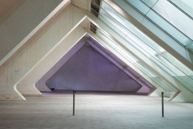VALENCIA , SPAIN - DECEMBER 6, 2021: The city of the Arts and Sciences, Ciudad de las Artes y las Ciencias at sunset in Valencia, Spain.