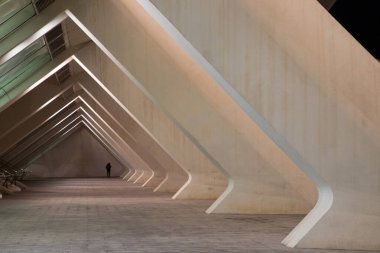 VALENCIA , SPAIN - DECEMBER 6, 2021: The city of the Arts and Sciences, Ciudad de las Artes y las Ciencias at sunset in Valencia, Spain.