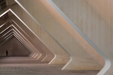 VALENCIA , SPAIN - DECEMBER 6, 2021: The city of the Arts and Sciences, Ciudad de las Artes y las Ciencias at sunset in Valencia, Spain.