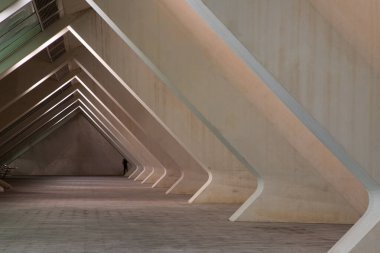 VALENCIA , SPAIN - DECEMBER 6, 2021: The city of the Arts and Sciences, Ciudad de las Artes y las Ciencias at sunset in Valencia, Spain.
