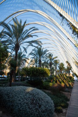 VALENCIA , SPAIN - DECEMBER 6, 2021: The city of the Arts and Sciences, Ciudad de las Artes y las Ciencias at sunset in Valencia, Spain.