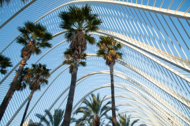 VALENCIA , SPAIN - DECEMBER 6, 2021: The city of the Arts and Sciences, Ciudad de las Artes y las Ciencias at sunset in Valencia, Spain.