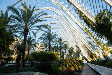 VALENCIA , SPAIN - DECEMBER 6, 2021: The city of the Arts and Sciences, Ciudad de las Artes y las Ciencias at sunset in Valencia, Spain.