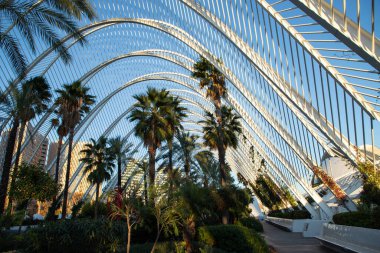 VALENCIA , SPAIN - DECEMBER 6, 2021: The city of the Arts and Sciences, Ciudad de las Artes y las Ciencias at sunset in Valencia, Spain.