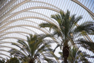 VALENCIA , SPAIN - DECEMBER 6, 2021: The city of the Arts and Sciences, Ciudad de las Artes y las Ciencias at sunset in Valencia, Spain.