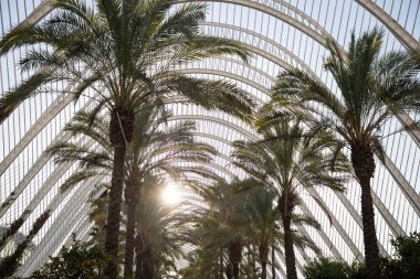 VALENCIA , SPAIN - DECEMBER 6, 2021: The city of the Arts and Sciences, Ciudad de las Artes y las Ciencias at sunset in Valencia, Spain.