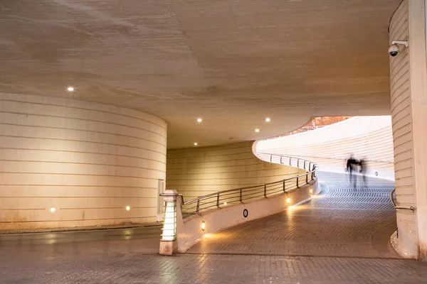 Valencia España Diciembre 2021 Ciudad Las Artes Las Ciencias Valencia — Foto de Stock