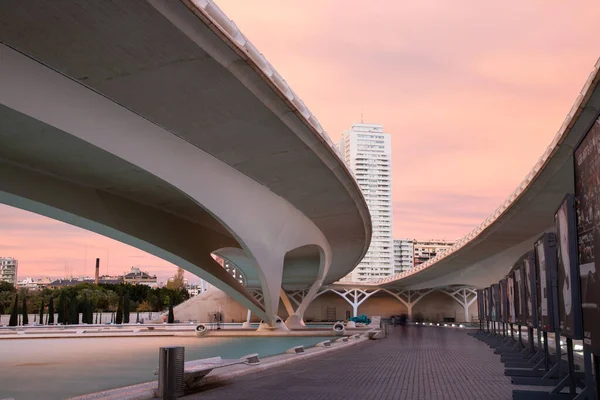 Valencia Spain December 2021 City Arts Sciences Ciudad Las Artes — Stok fotoğraf