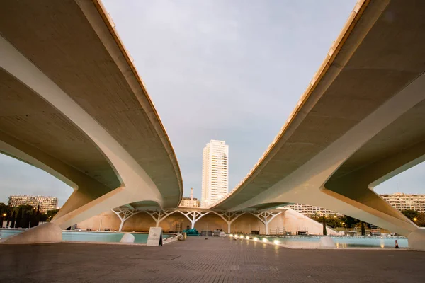 Valencia Spain December 2021 City Arts Sciences Ciudad Las Artes — Stock fotografie