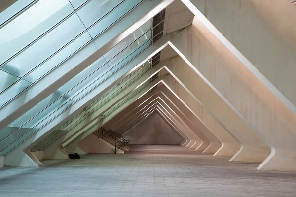 Valencia Spain December 2021 City Arts Sciences Ciudad Las Artes — 图库照片