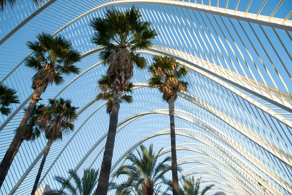 VALENCIA , SPAIN - DECEMBER 6, 2021: The city of the Arts and Sciences, Ciudad de las Artes y las Ciencias at sunset in Valencia, Spain.
