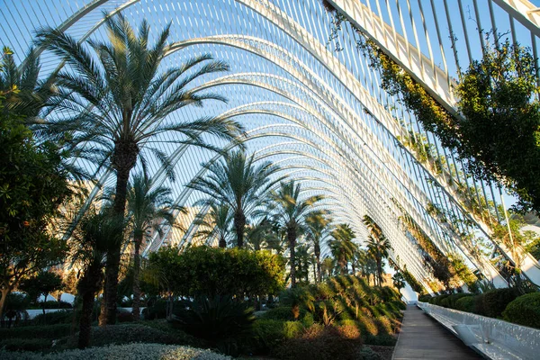 VALENCIA , SPAIN - DECEMBER 6, 2021: The city of the Arts and Sciences, Ciudad de las Artes y las Ciencias at sunset in Valencia, Spain.