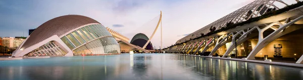 Valencia Spain December 2021 City Arts Sciences Ciudad Las Artes — стоковое фото