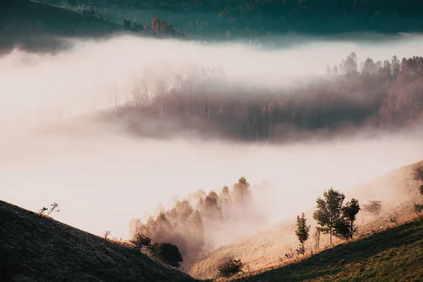 Rural Early Morning Landscape Fog Mountains — Stockfoto