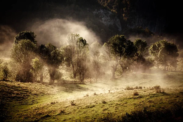 Paisaje Rural Madrugada Con Niebla Las Montañas — Foto de Stock