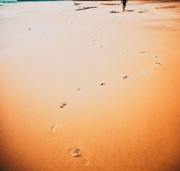 Footprints Sand Seaside — Stockfoto