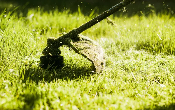 Mowing Lawn Fresh Green Grass — Fotografia de Stock