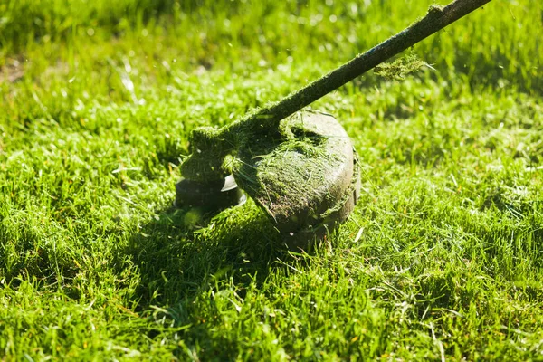 Mowing Lawn Fresh Green Grass — Fotografia de Stock