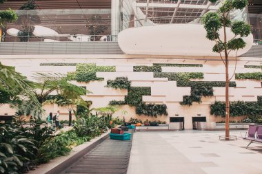 SINGAPORE, SINGAPORE - Mart 2019: Changi Havaalanı 'ndaki yemyeşil bitkilerin arasına varış. Singapur Changi Havaalanı, en büyük ulaşım merkezlerinden biri.