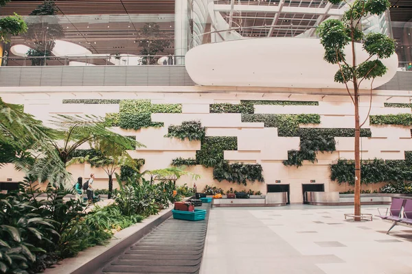 シンガポール シンガポール 2019年3月 チャンギ空港の緑豊かな植物の間で到着した荷物 シンガポールチャンギ空港 最大の交通ハブの一つ — ストック写真