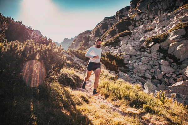 Gün Batımında Dağ Manzarasında Koşan Patika Koşucusu Aktif Yaşam Tarzı — Stok fotoğraf