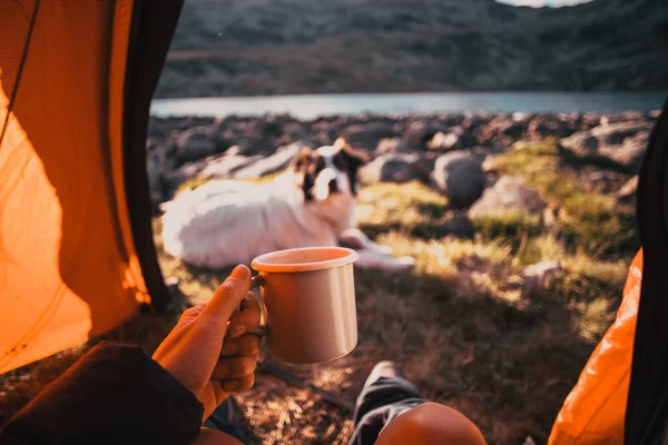 Zelten Mit Hund Rotes Zelt — Stockfoto