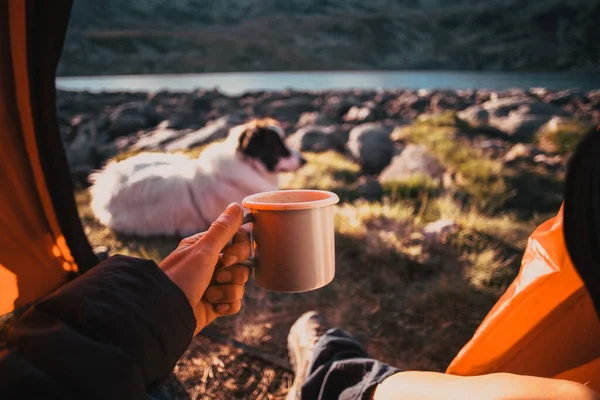 Camping Met Hond Rode Tent — Stockfoto