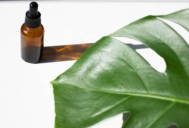 Biyolojik ve ekolojik kenevir bitkisi kavanozdan çıkan bitkisel ilaç cbd yağı.