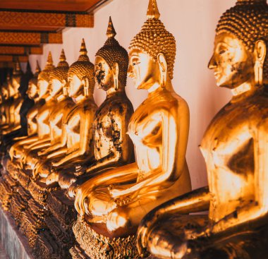 Buda altın heykeli. Wat Pho, Bangkok, Tayland