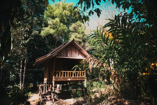 丛林中的小木屋 — 图库照片