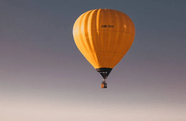 Varmluftsballonger Frihet Och Äventyrskoncept — Stockfoto