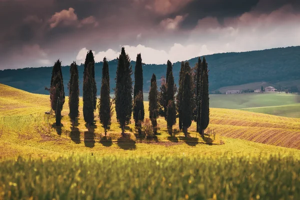 Hermoso Paisaje Verde Verano Toscana Italia — Foto de Stock