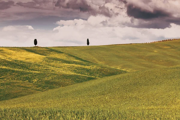 Bela Paisagem Verão Verde Toscana Itália — Fotografia de Stock