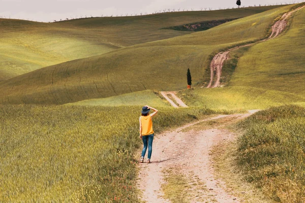 Prachtig Groen Zomers Landschap Toscane Italië — Stockfoto